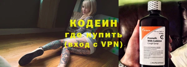 индика Абинск
