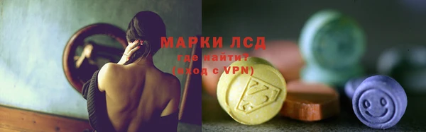 индика Абинск