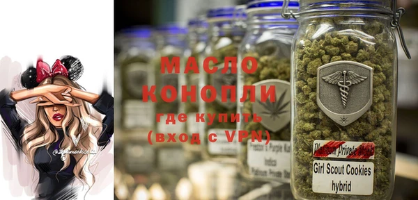 индика Абинск