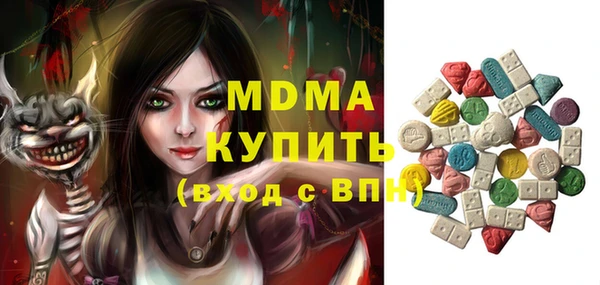 индика Абинск