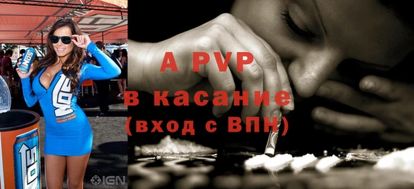 индика Абинск