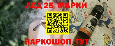 спиды Новодвинск