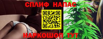 спиды Новодвинск